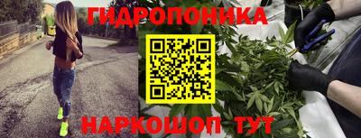 мяу мяу мука Шелехов
