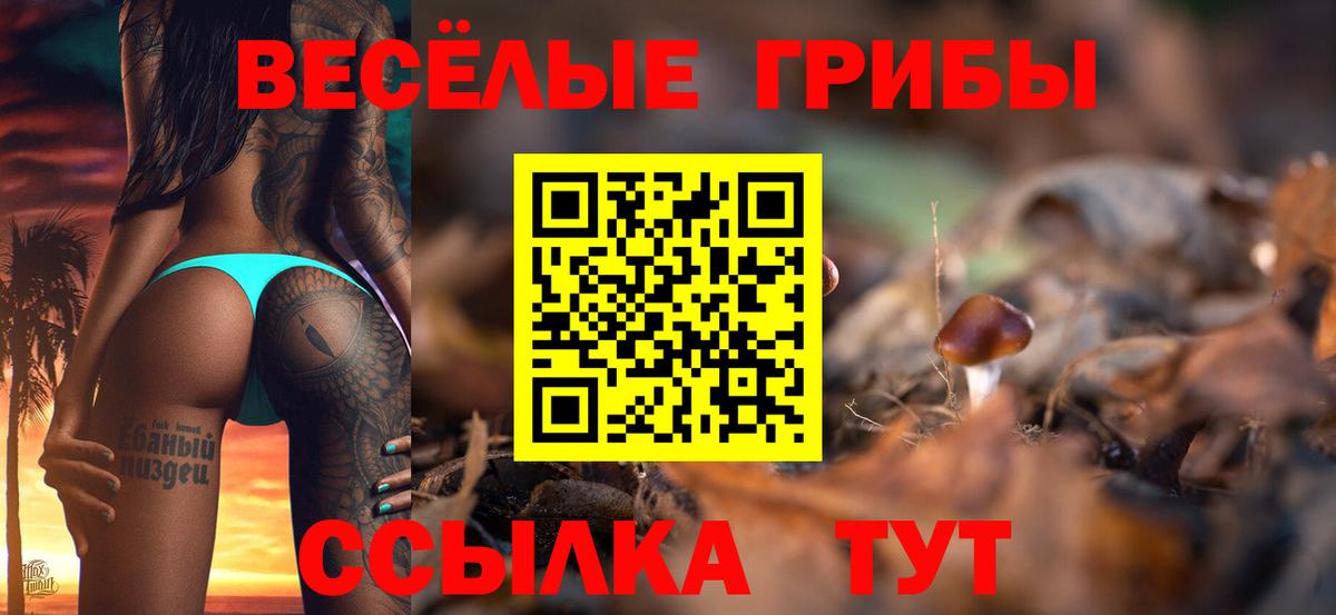 Галлюциногенные грибы Psilocybine cubensis  Вход с VPN  Аша  Псилоцибиновые грибы ЛСД 